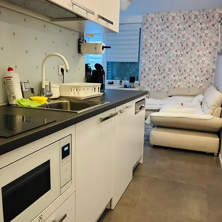 One Bedroom 316 Apartment *