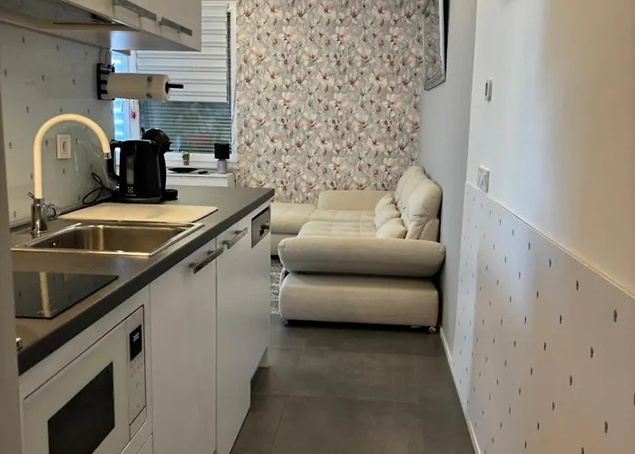 公寓 One Bedroom 316 *