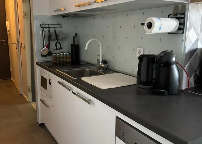 公寓 One Bedroom 316 *