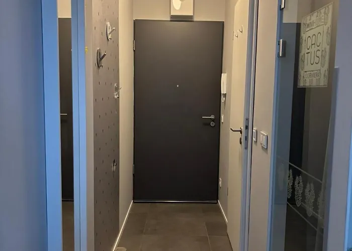 One Bedroom 316 公寓 *